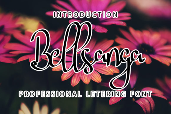Bellsanga: A Script Amp Review