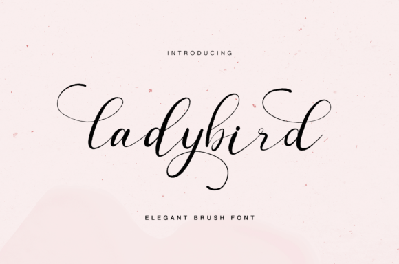 Ladybird: A Delicate Script Font