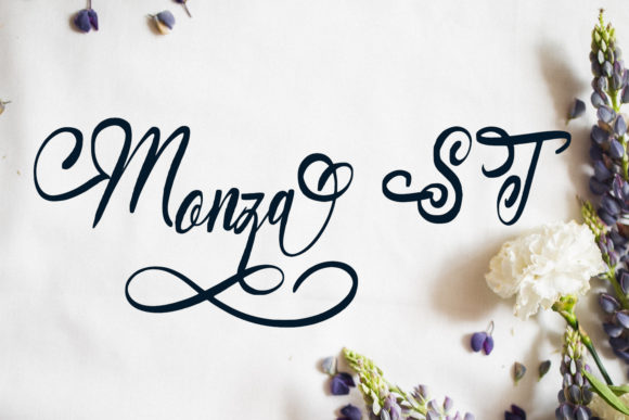 Monza ST: Elegant Handwritten Font