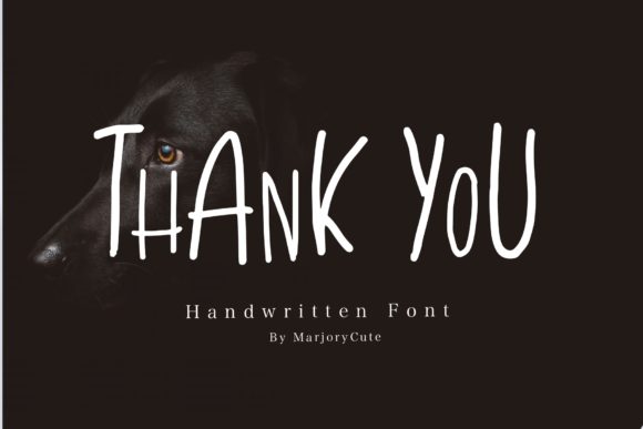 Thank You: A Friendly Font for Clear Campaigns